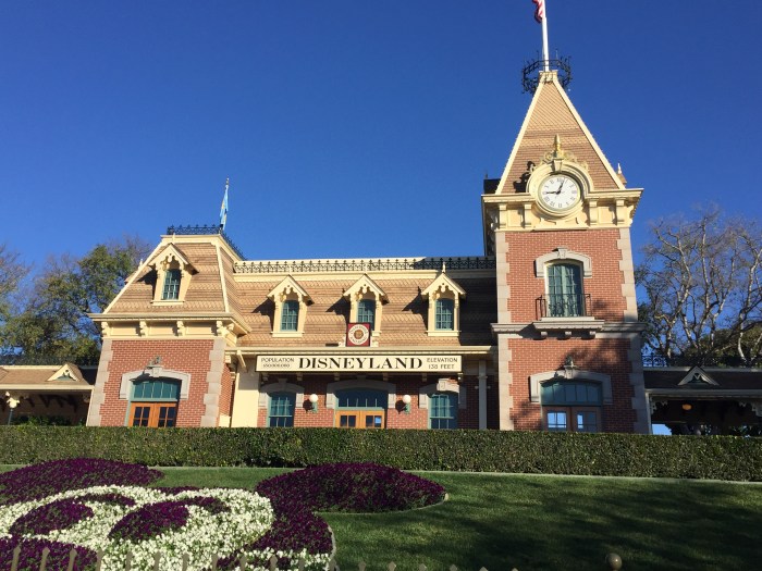 Disneyland Tips and Tricks